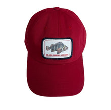 Load image into Gallery viewer, TIGER STYLE DAD CAP