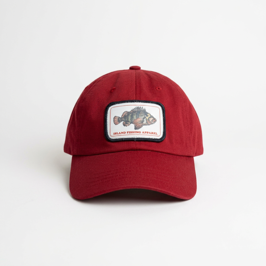 TIGER STYLE DAD CAP